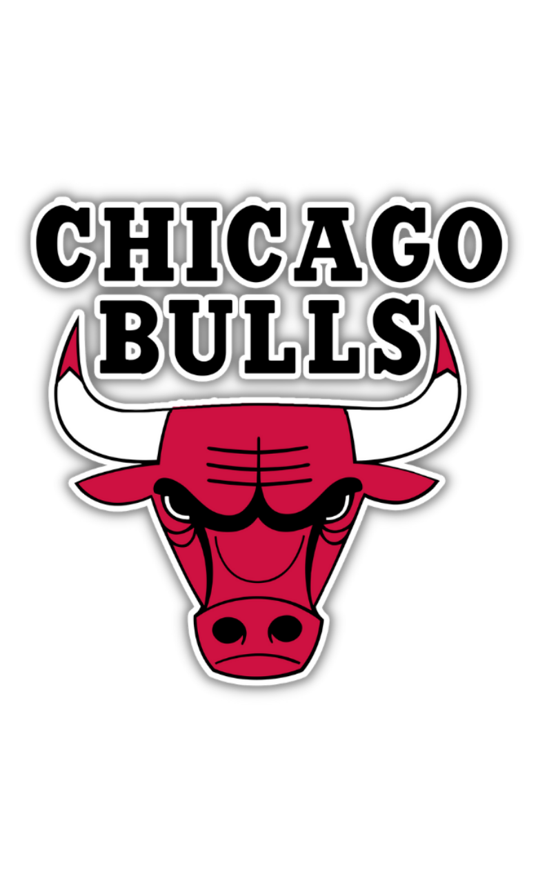 Chicago Bulls  Basketball Sticker